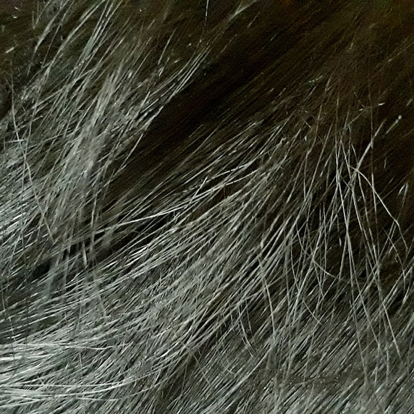 Wiggie Synthetic Costume Wig - Flapper Black Bob + Feather Head Band Necklace - Picture 7 of 11